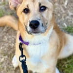 Программы лояльности казино и психическое здоровье игроков