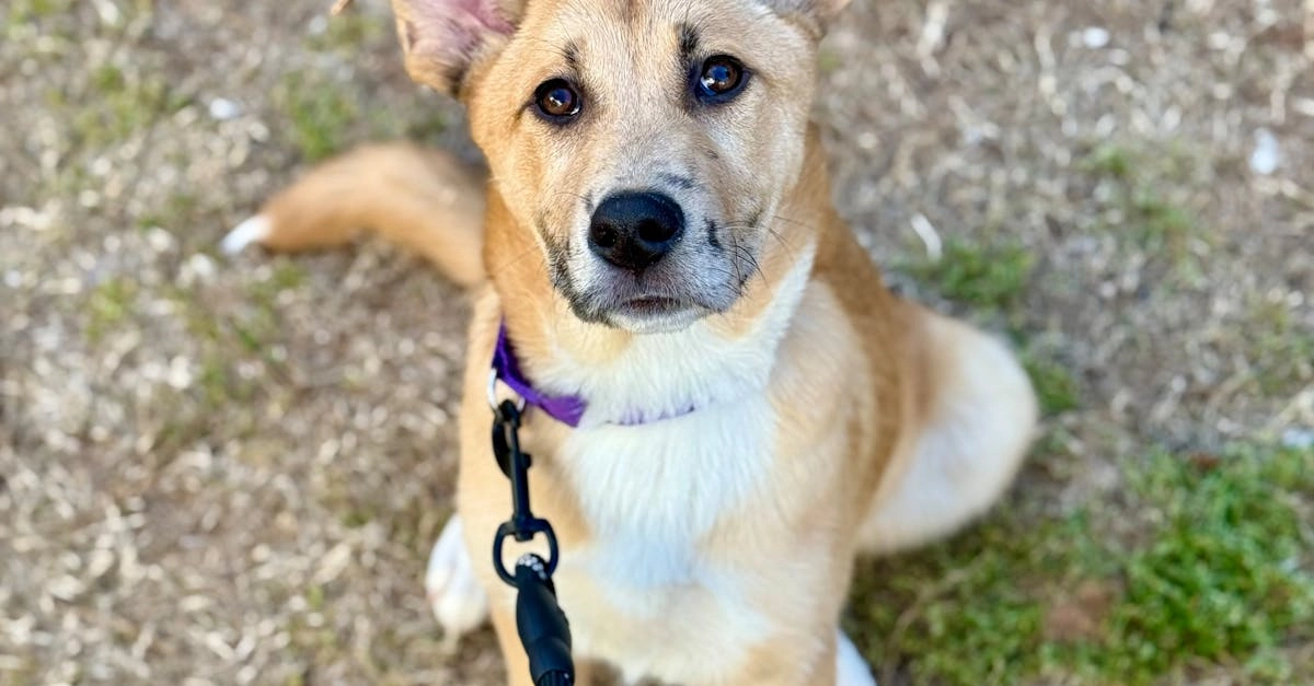 Программы лояльности казино и психическое здоровье игроков