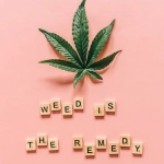 Влияние азартных игр на психическое здоровье человека