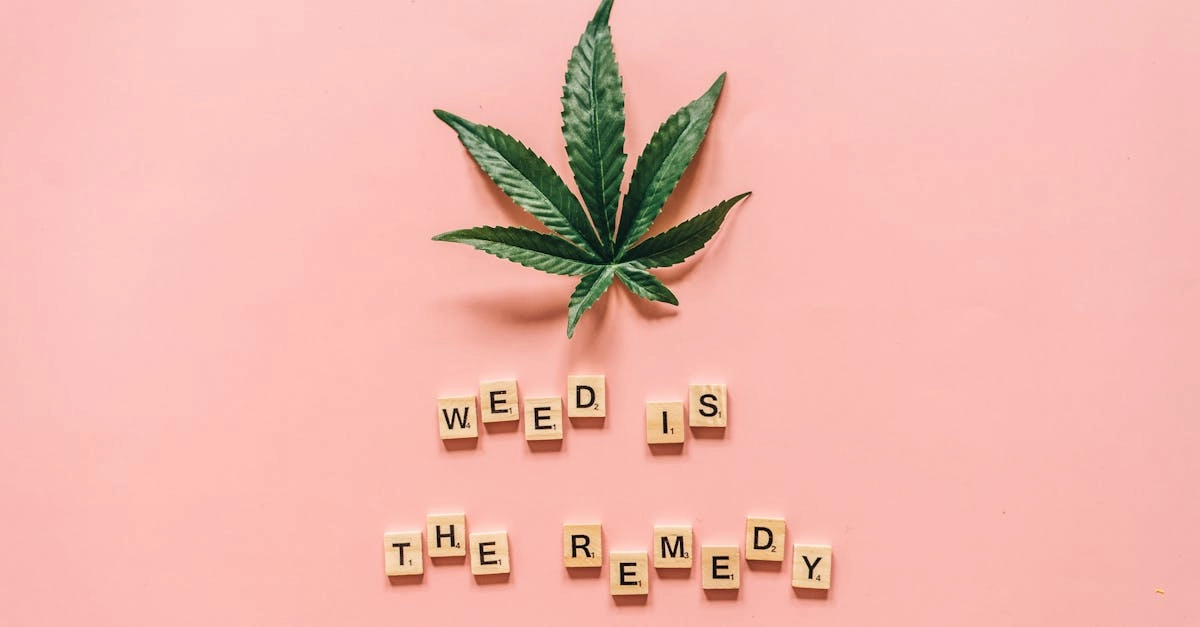 Влияние азартных игр на психическое здоровье человека